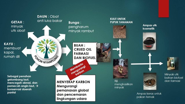 Turunan Produk Nyamplung (Foto Koleksi Pribadi)